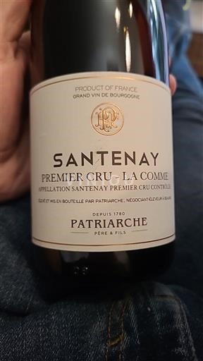 Bourgogne Santenay Premier Cru Patriarche Père & Fils Premier Cru - La Comme 2019