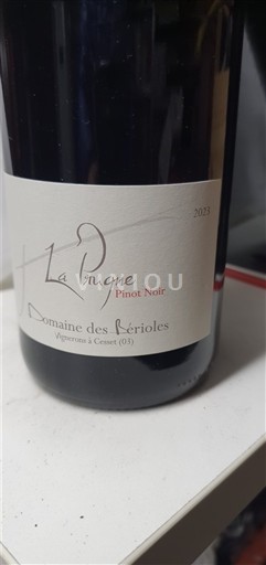 Lugina e Luarës Saint-Pourçain Domaine Bérioles La Pingne 2023