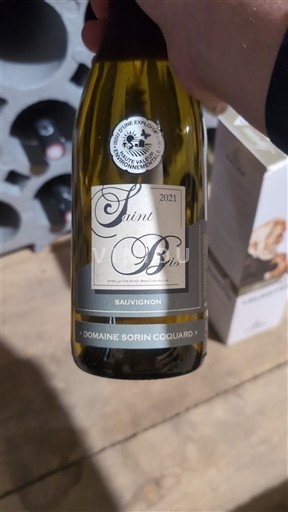 Borgonha Saint-Bris Domaine Sorin Coquard 2021