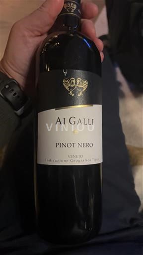 Veneto Määrittelemätön Ai Galli 2021