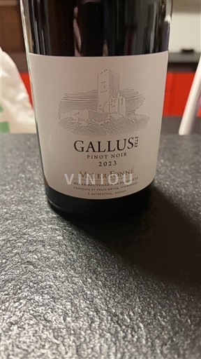 Алзас Аласас Meyer Fonné Gallus Pinot Noir 2023