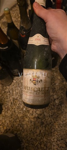 Vinuri Blanc sec Domaine La Vrillonnière 1996 Franța Valea Loarei Muscadet-Sèvre și Maine AOC