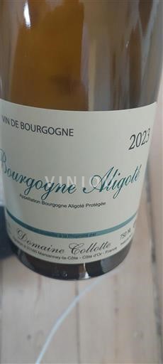 Burgundi Burgundi-aligoté Domaine Collotte 2023