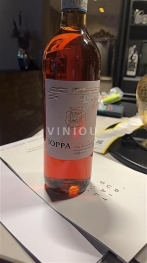 Piemonte Colline Novaresi Ioppa 2019