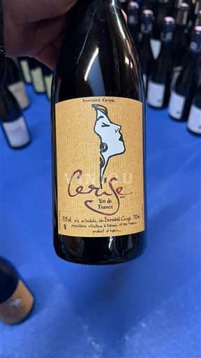 Рона долина Nespecificirano Domaine Bernard Gripa Cerise 2022