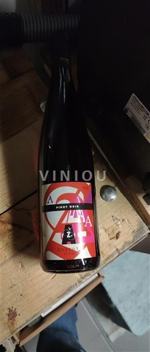 Alsace Anstotz et Fils Pinot Noir 2024