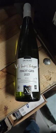 Алзас Аласас Xavier schoepfer 2023 2023