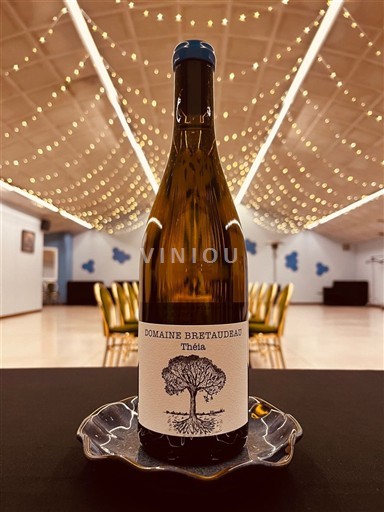 Loirevallei Muscadet-Sèvre-et-Maine Domaine Bretaudeau Théia 2024