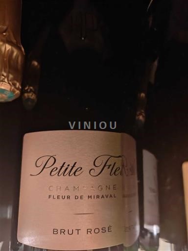 Shampanjë Fleur de Miraval Petite Fleur Jo Viti