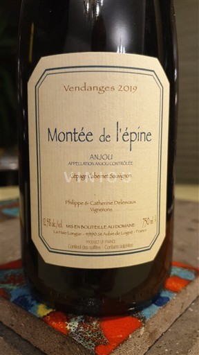 Loiredalen Anjou Philippe et Catherine Delesvaux Montée de l'épine 2019