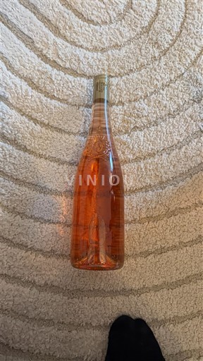 Loire-dalen Anjou Cave de Saumur 2022