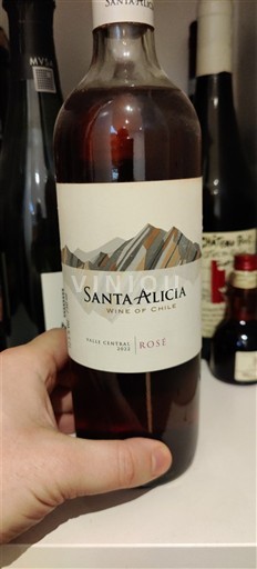 Maipo-dalen Maipo Central Santa Alicia 2022