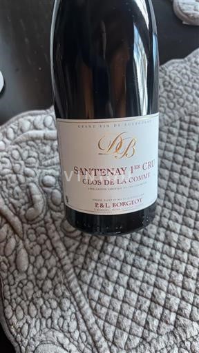 Bourgogne Santenay Premier Cru P & L Borgeot Clos de la Comme 2018