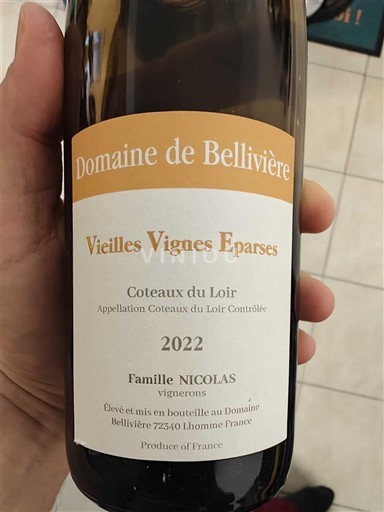 Lugina e Luarës Coteaux-du-loir Domaine Bellivière Vieilles Vignes Éparses 2022