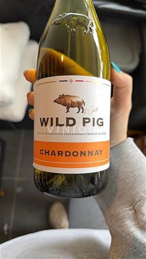 Languedoc og Roussillon Pays d'oc Wild Pig Ikke-årgang