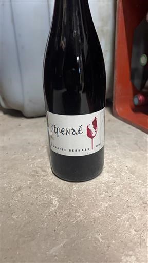 Божоље Боҗоле Domaine Bernard Strenaé 2020