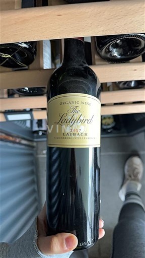 Primorski region Стелленбош Laibach The Ladybird 2017