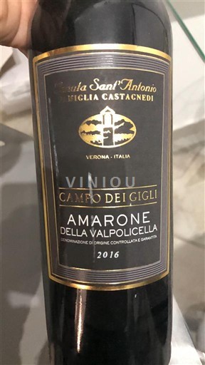 Veneto Amarone della Valpolicella Tenuta Sant'Antonio Campo dei Gigli 2016