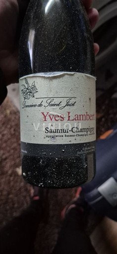Lugina e Luarës Saumur-champigny Domaine Saint Just Yves Lambert 2016