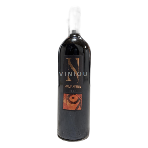 Castilien og León Toro Bodega Numanthia Numanthia 2015
