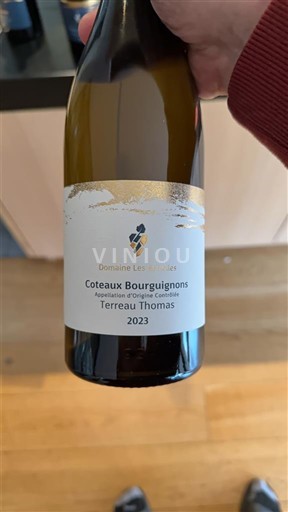 Burgundi Kodra të Burgonisë Domaine Les Alexandrins Terreau Thomas 2023