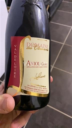 Lugina e Luarës Anjou-gamay Domaine Clossoux 2010