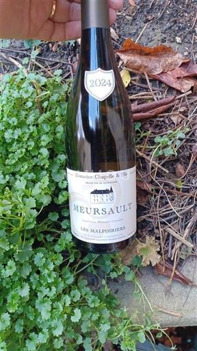 Bourgondië Meursault Domaine Chapelle & Fils Les Malpoiriers 2024