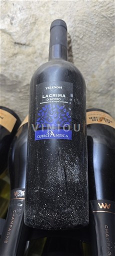 Abruci Lacrima di Morro d’Alba Velenosi QuercAntica Jo Viti