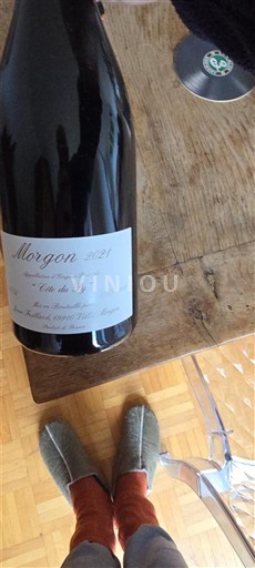 Beaujolais Morgon Jean Foillard Côte du Py 2021