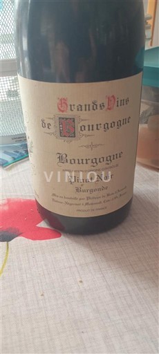 Burgundia Pinot Pinot Nemilésimat