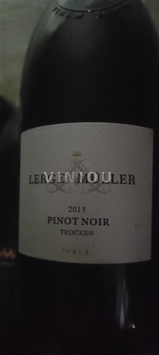 Pfalz Lergenmüller 2013