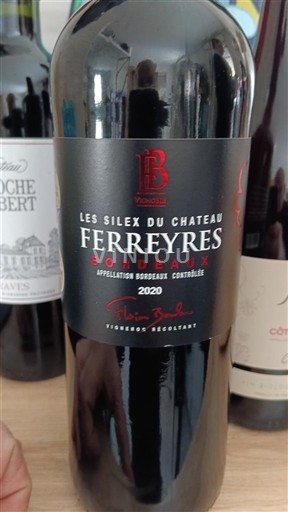 Bordoja Bordo Château Ferreyres Les Silex du Château 2020