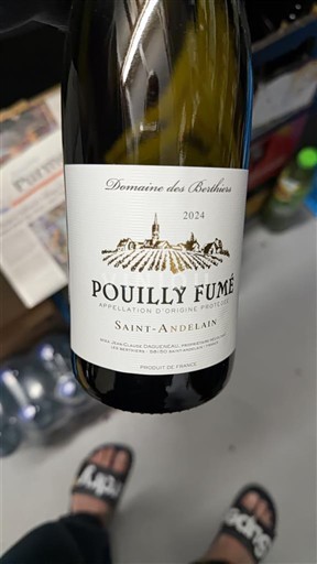 Lugina e Luarës Pouilly-fumé Domaine Berthiers Saint-Andelain 2024