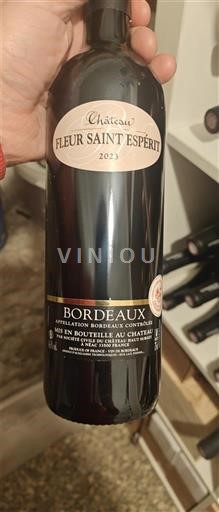 Bordo Château Fleur Saint Esprit 2023