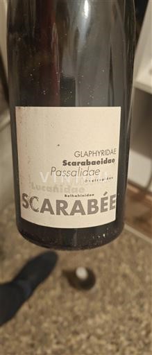 Loiredalen Ospecificerad Scarabée Icke årgångsbetecknad