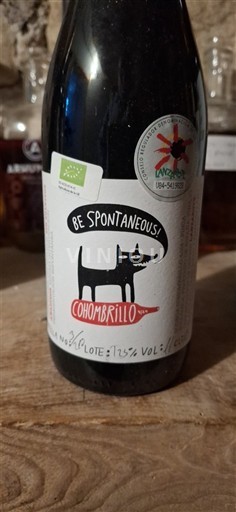 Kanarie. Lanzarote Cohombrillo Be Spontaneous! 2023