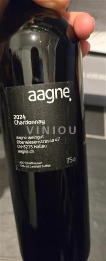 Шафхаузен Nespecificirano Aagne 2024