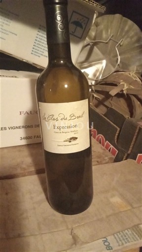 Jugperëndim Côtes-de-bergerac Le Clos du Breil Expression 2013