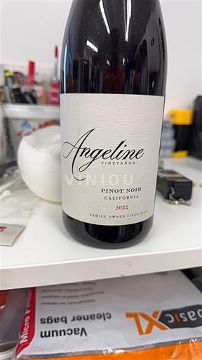 Kalifornijske AVA Nespecificirano Angeline Vineyards 2022