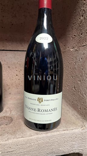 Bourgogne Vosne-romanée Domaine Forey Père et Fils 2022