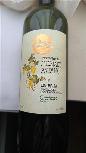 Umbria Ikke spesifisert Fattoria di Milziade Antano Grechetto 2024
