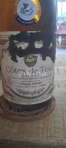 Lorena Кот де Тул Vincent Gorny 1996