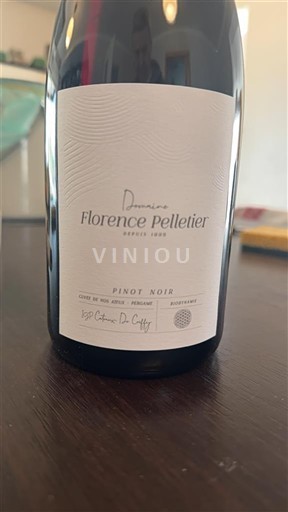 Burgund Domaine Florence Pelletier Pinot Noir Ikke-årgang