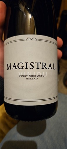 Шафхаузен Халауер Magistral 2019