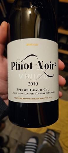 Vaud Lavaux Domaine Antoine Bovard Pinot Noir² 2019