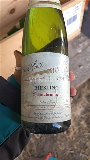 Alsace Riesling Domaine Runner Gaentzbrunnen 2009