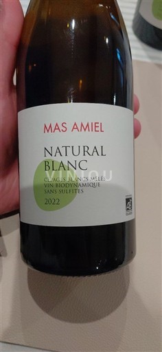 Languedoc og Roussillon Katalanske skråninger Mas Amiel Natural Blanc 2022