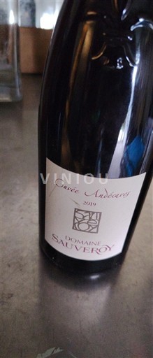Loire-dalen Anjou Domaine Sauveroy Audaceuse 2019