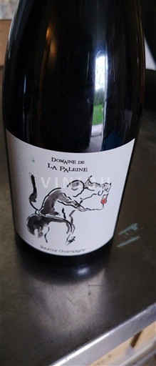 Lugina e Luarës Saumur-champigny Domaine La Paleine Saumur Champigny 2021