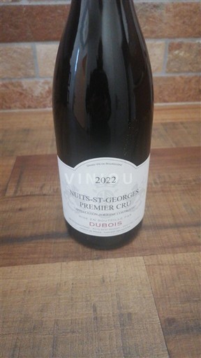 Burgund Nuits-Saint-Georges Premier Cru Domaine Dubois 2022